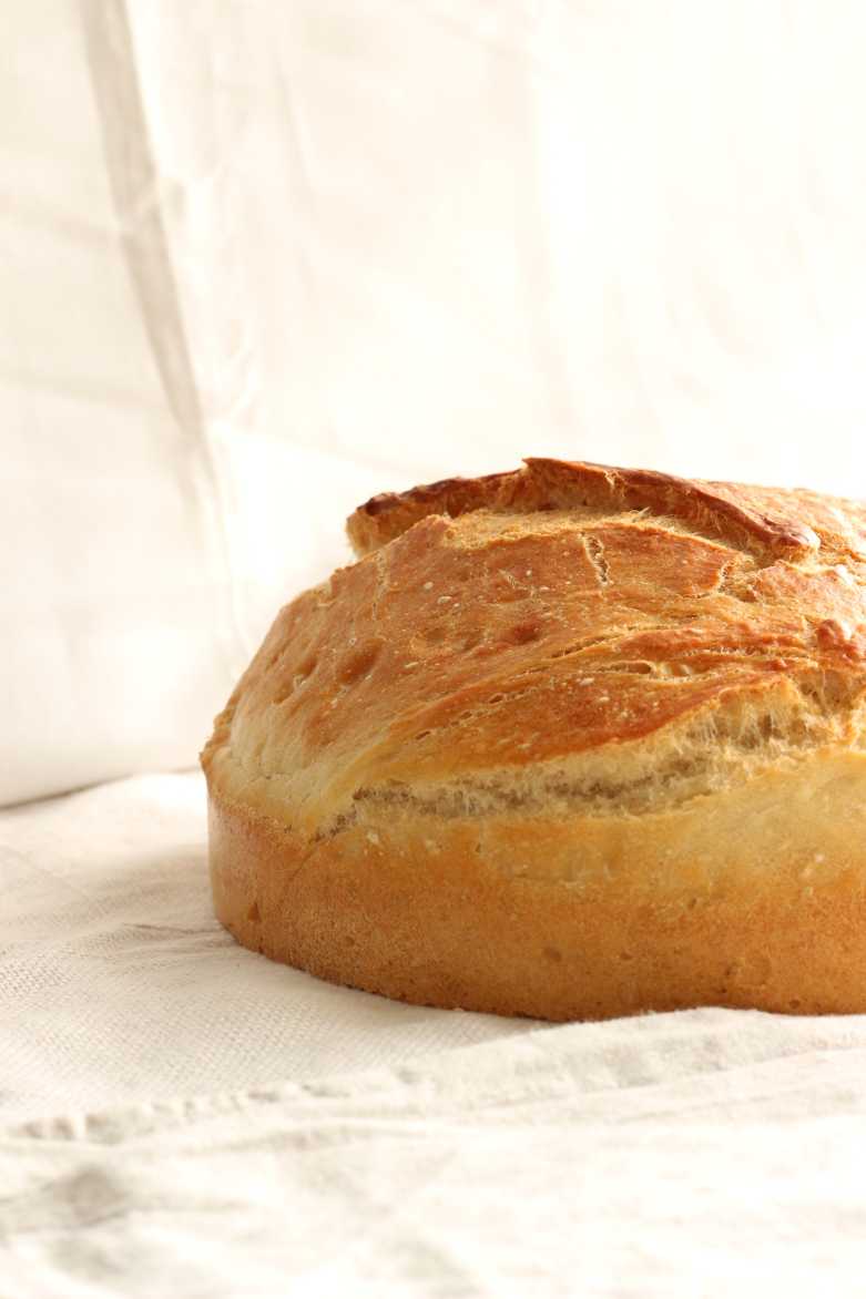 Brot aus der Springform