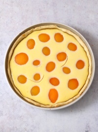 Aprikosen Schmand Kuchen | bäckerina.de